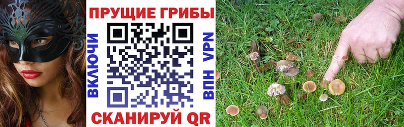 купить  сайты  Красноуфимск  KRAKEN ТОР  Псилоцибиновые грибы Psilocybine cubensis 