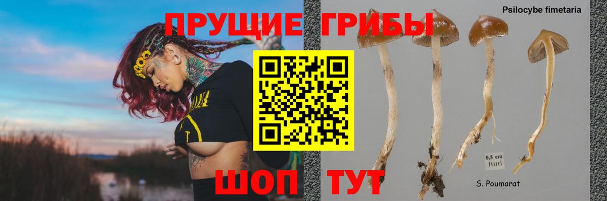 Псилоцибиновые грибы Magic Shrooms Красноуфимск